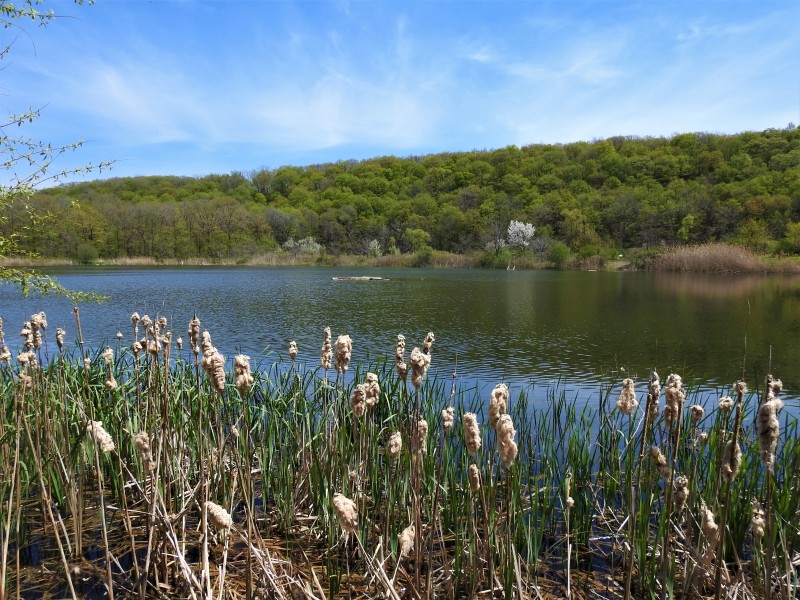 A scene from Steve Hardaker's own year-long project, a springtime view of the Niagara Escarpment overlooking the Niagara College ponds, on May 10. He will be shooting summer, fall and winter photos from the same location.