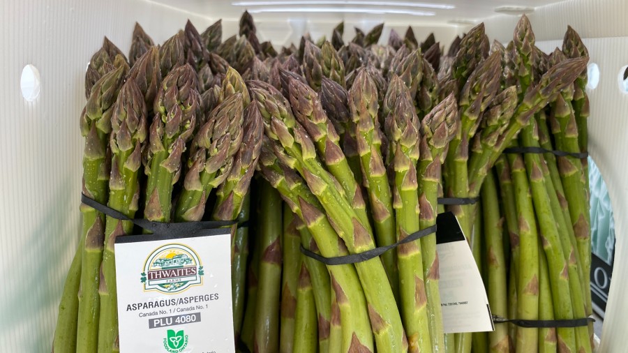 It's asparagus season at NOTL's Thwaites Farms, on May 12. (Don Reynolds)