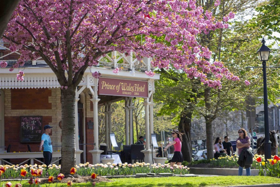 Beautiful blossoms frame the Prince of Wales Hotel in downtown NOTL, on May 13. (Jessica Maxwell)