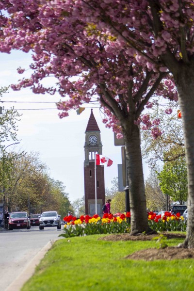 The Canadian flag is at full mast on the Queen Street clock tower cenotaph, on May 13. (Jessica Maxwell)
