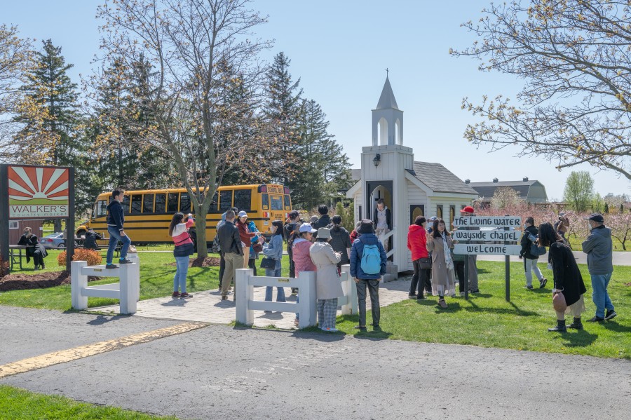 Visitors flock to the Living Water Wayside Chapel on the Niagara Parkway, on May 7. (Dave Van de Laar)