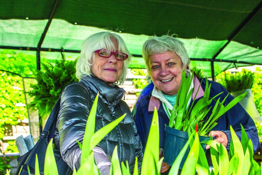 Horticultural Society sale co-chair Sandy Bott, right, helps customers find the right plants for their gardens. (Richard Harley/Niagara Now)