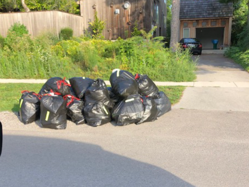 noisy luggage wheels